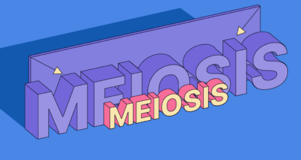 Typographic illustration of the word "Meiosis" in small and larger sizes.